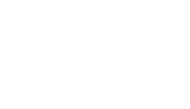 LM Methods